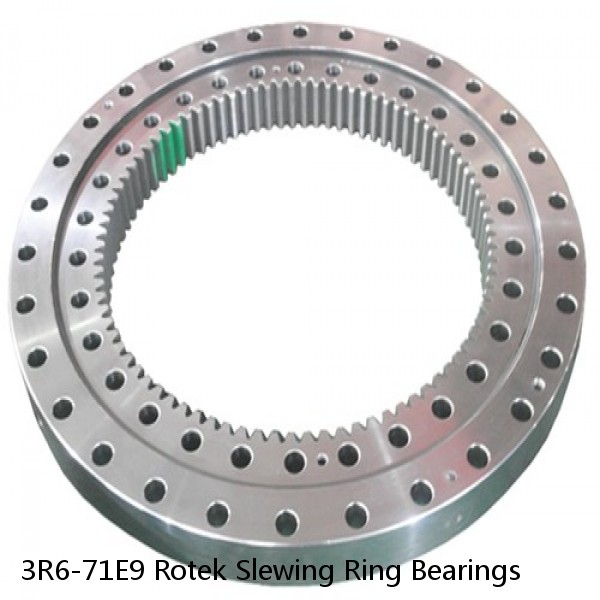 3R6-71E9 Rotek Slewing Ring Bearings