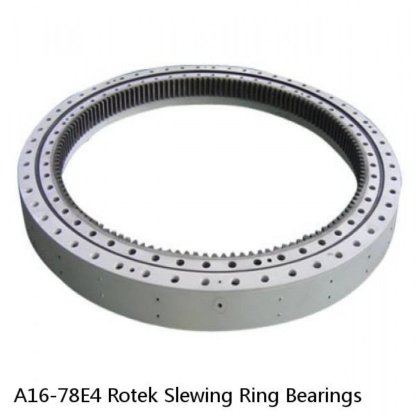 A16-78E4 Rotek Slewing Ring Bearings