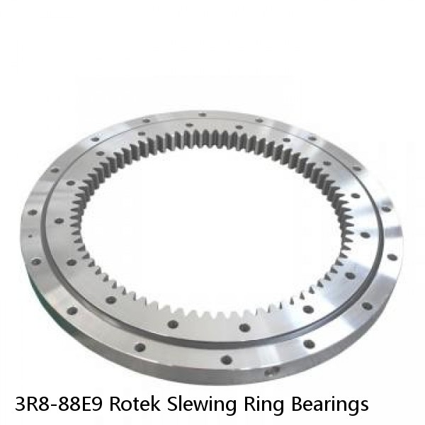 3R8-88E9 Rotek Slewing Ring Bearings