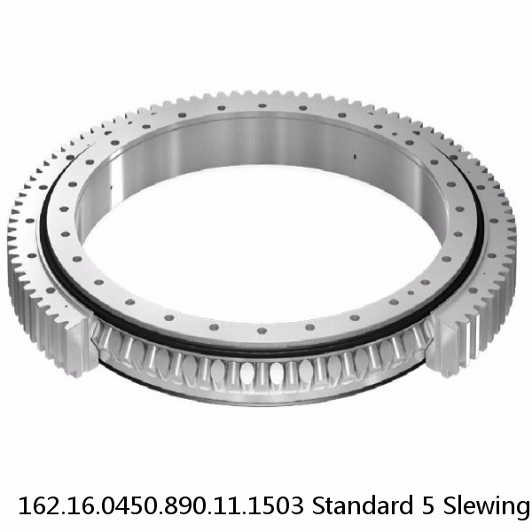 162.16.0450.890.11.1503 Standard 5 Slewing Ring Bearings