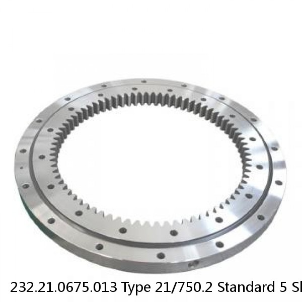 232.21.0675.013 Type 21/750.2 Standard 5 Slewing Ring Bearings