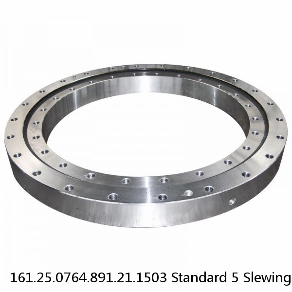 161.25.0764.891.21.1503 Standard 5 Slewing Ring Bearings