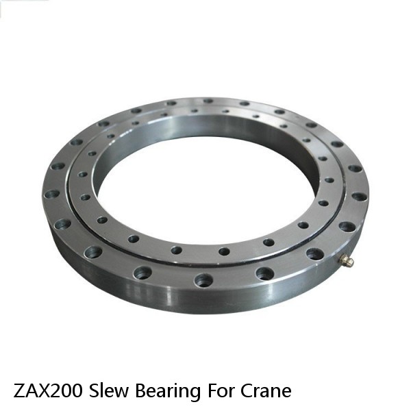 ZAX200 Slew Bearing For Crane