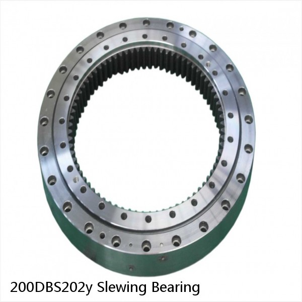 200DBS202y Slewing Bearing
