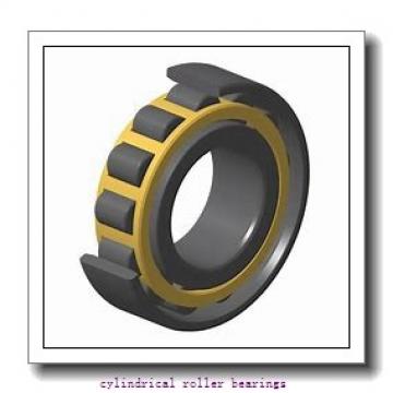 2.953 Inch | 75 Millimeter x 5.118 Inch | 130 Millimeter x 0.984 Inch | 25 Millimeter  NSK NUP215WC3  Cylindrical Roller Bearings