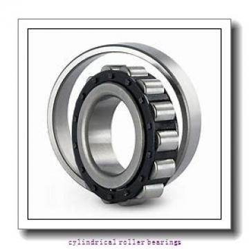 3.543 Inch | 90 Millimeter x 6.299 Inch | 160 Millimeter x 1.181 Inch | 30 Millimeter  NSK NUP218W  Cylindrical Roller Bearings