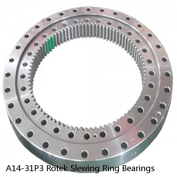 A14-31P3 Rotek Slewing Ring Bearings #1 small image