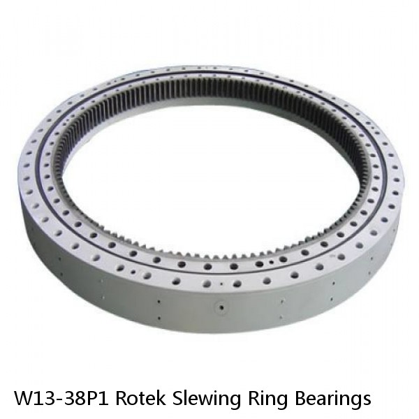 W13-38P1 Rotek Slewing Ring Bearings #1 small image