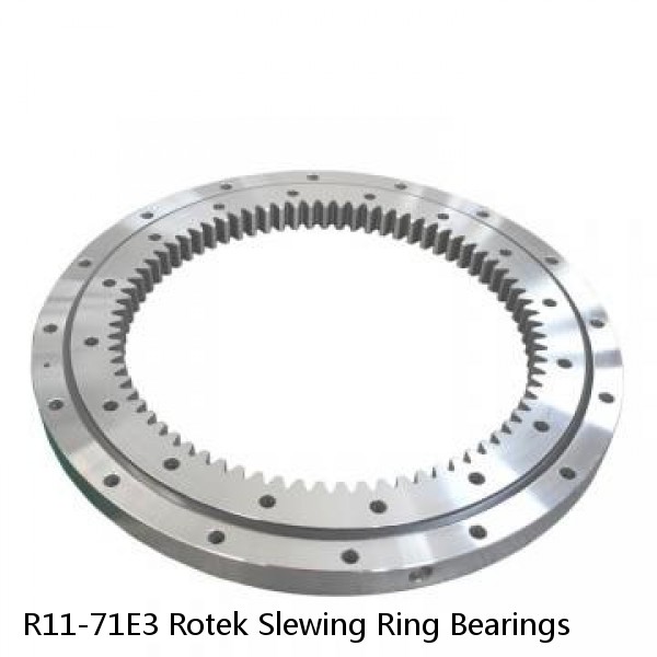 R11-71E3 Rotek Slewing Ring Bearings