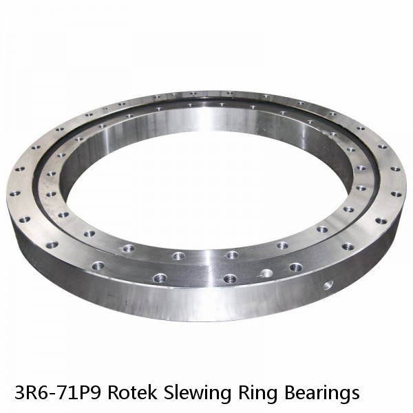 3R6-71P9 Rotek Slewing Ring Bearings #1 small image