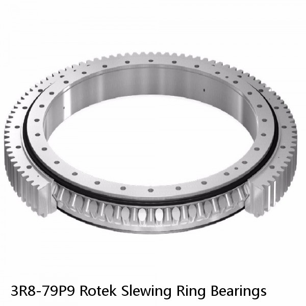 3R8-79P9 Rotek Slewing Ring Bearings #1 small image