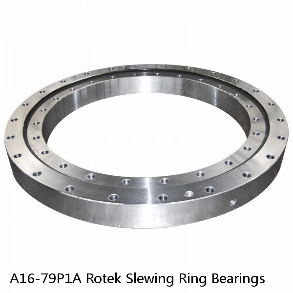 A16-79P1A Rotek Slewing Ring Bearings #1 small image