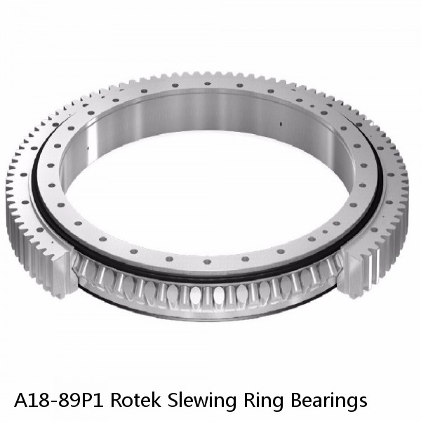 A18-89P1 Rotek Slewing Ring Bearings #1 small image