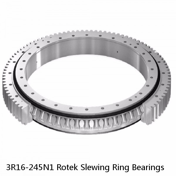 3R16-245N1 Rotek Slewing Ring Bearings