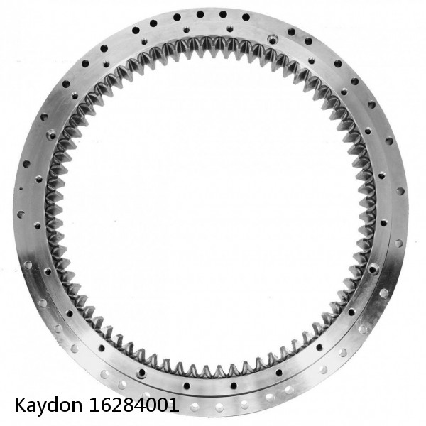 16284001 Kaydon Slewing Ring Bearings #1 small image