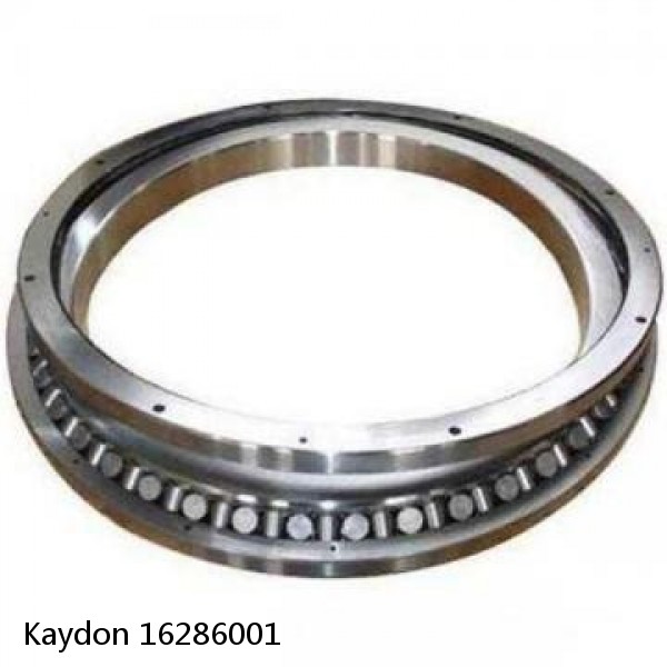 16286001 Kaydon Slewing Ring Bearings #1 small image