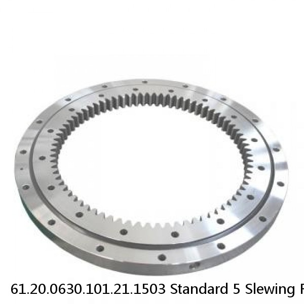 61.20.0630.101.21.1503 Standard 5 Slewing Ring Bearings #1 small image