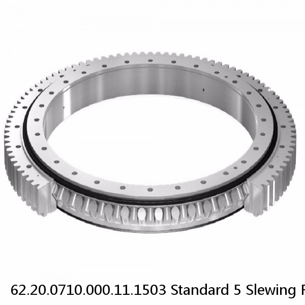 62.20.0710.000.11.1503 Standard 5 Slewing Ring Bearings #1 small image