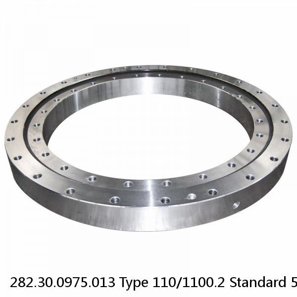 282.30.0975.013 Type 110/1100.2 Standard 5 Slewing Ring Bearings #1 small image