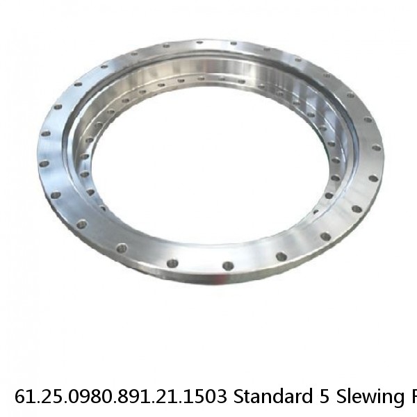 61.25.0980.891.21.1503 Standard 5 Slewing Ring Bearings #1 small image