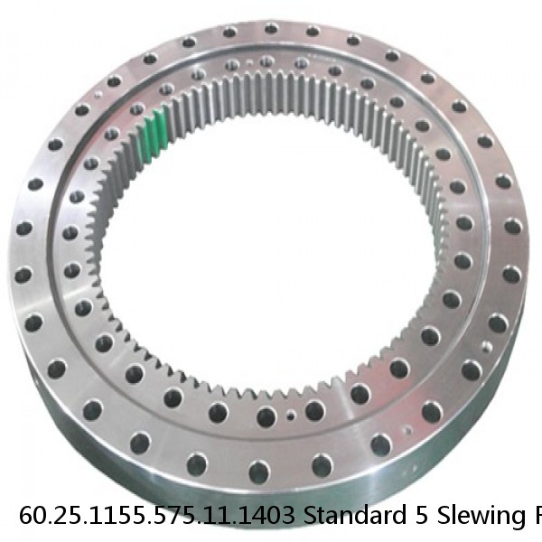 60.25.1155.575.11.1403 Standard 5 Slewing Ring Bearings