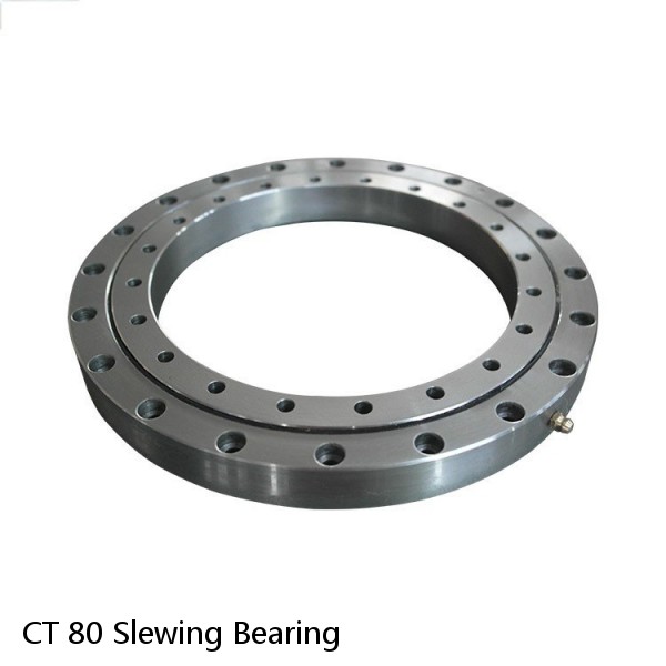 CT 80 Slewing Bearing #1 small image