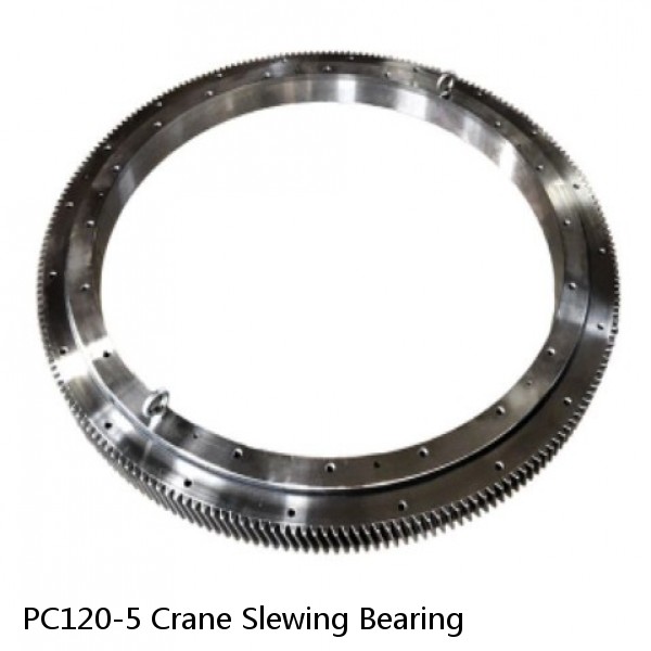 PC120-5 Crane Slewing Bearing #1 small image