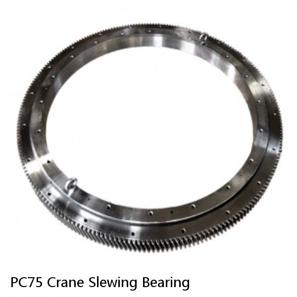PC75 Crane Slewing Bearing #1 small image