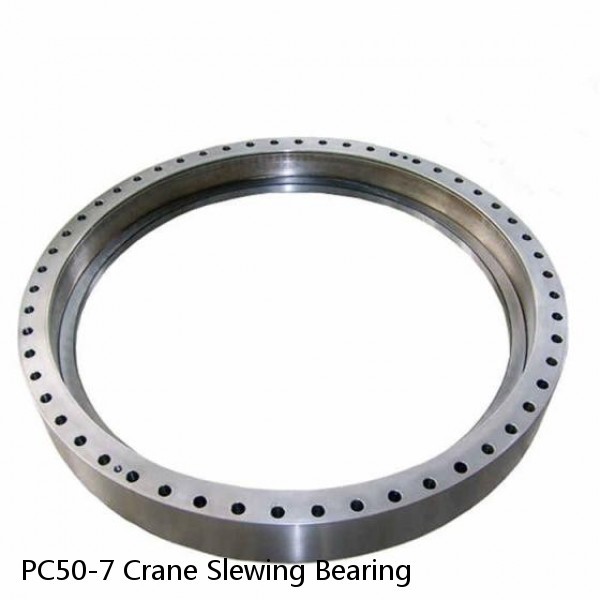 PC50-7 Crane Slewing Bearing #1 small image