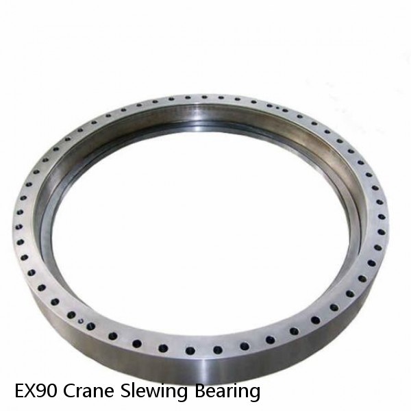 EX90 Crane Slewing Bearing #1 small image