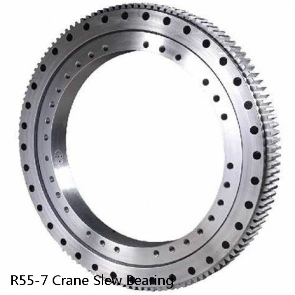 R55-7 Crane Slew Bearing #1 small image