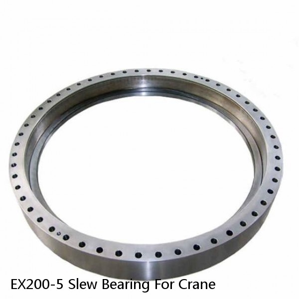 EX200-5 Slew Bearing For Crane