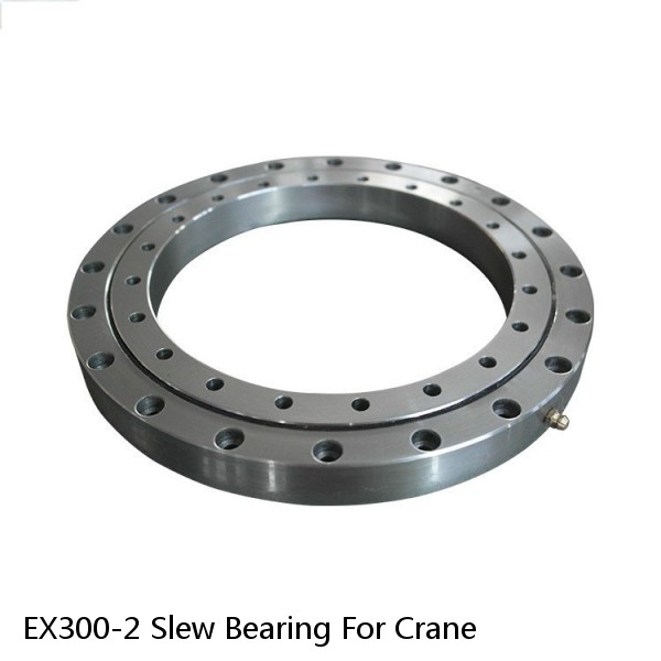 EX300-2 Slew Bearing For Crane #1 small image