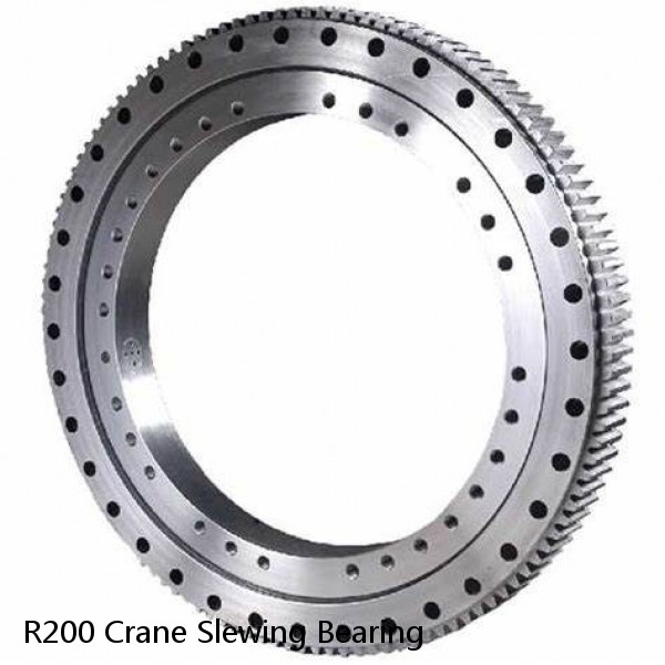 R200 Crane Slewing Bearing #1 small image