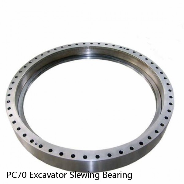 PC70 Excavator Slewing Bearing #1 small image