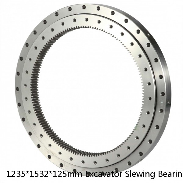 1235*1532*125mm Excavator Slewing Bearing PC300-6 #1 small image