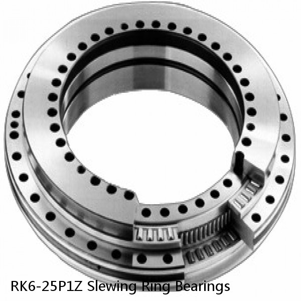 RK6-25P1Z Slewing Ring Bearings #1 small image