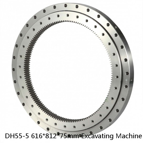 DH55-5 616*812*75mm Excavating Machine Parts Slew Rings