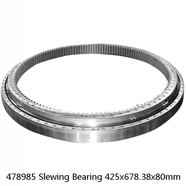 478985 Slewing Bearing 425x678.38x80mm #1 small image
