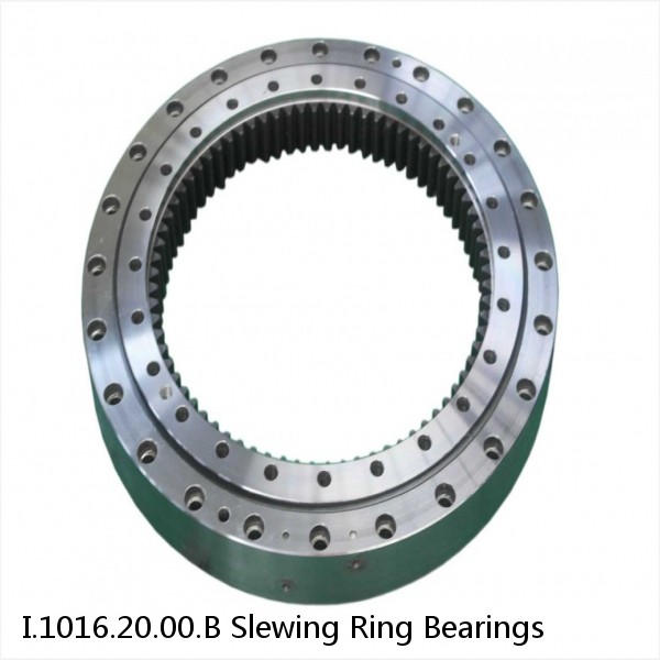 I.1016.20.00.B Slewing Ring Bearings #1 small image