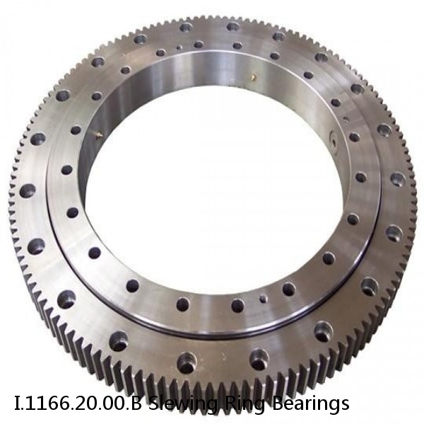 I.1166.20.00.B Slewing Ring Bearings #1 small image