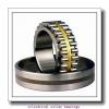 190 mm x 340 mm x 55 mm  FAG NU238-E-M1  Cylindrical Roller Bearings