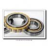 220 mm x 400 mm x 65 mm  FAG NU244-E-M1 Cylindrical Roller Bearings