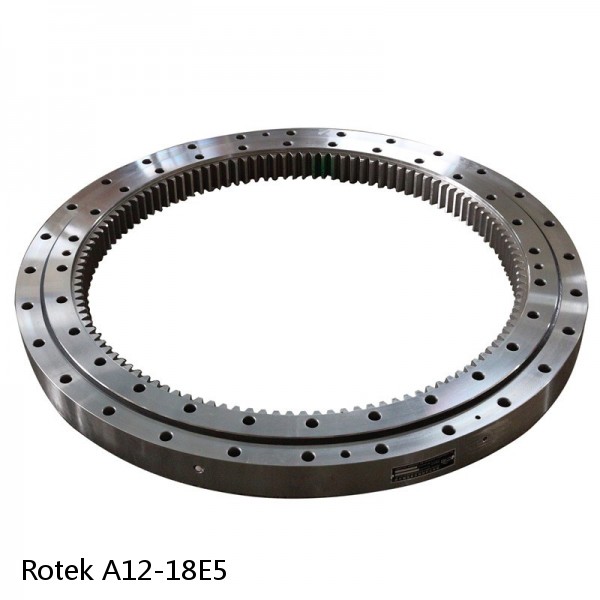 A12-18E5 Rotek Slewing Ring Bearings #1 image