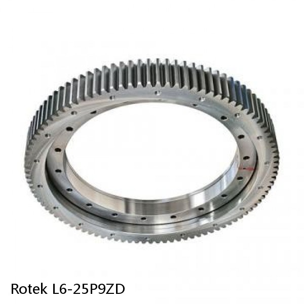 L6-25P9ZD Rotek Slewing Ring Bearings #1 image