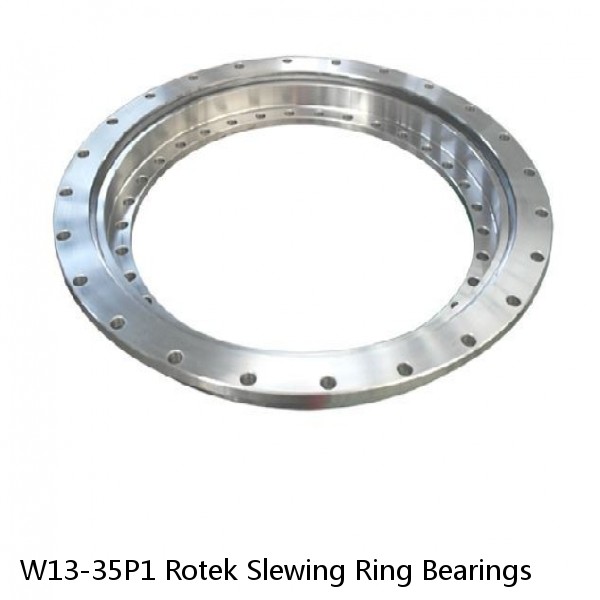 W13-35P1 Rotek Slewing Ring Bearings #1 image