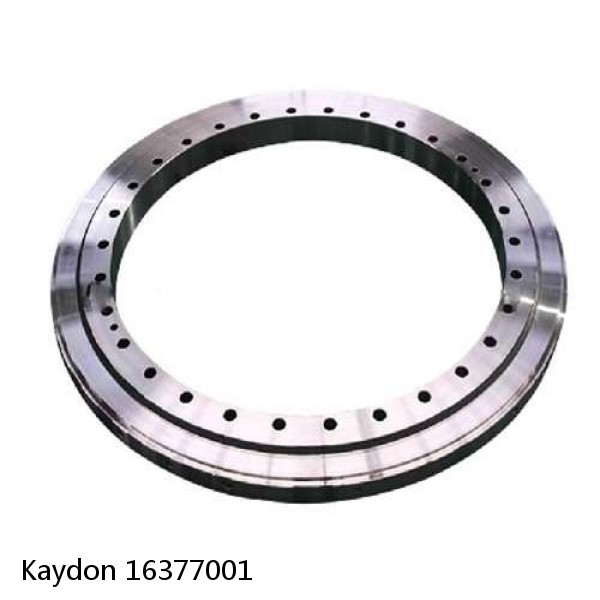 16377001 Kaydon Slewing Ring Bearings #1 image