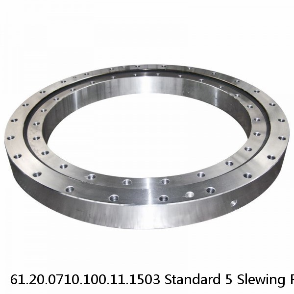 61.20.0710.100.11.1503 Standard 5 Slewing Ring Bearings #1 image