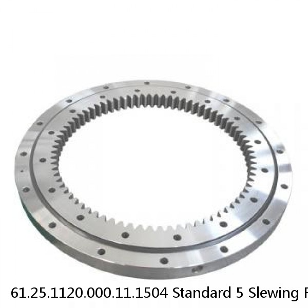 61.25.1120.000.11.1504 Standard 5 Slewing Ring Bearings #1 image