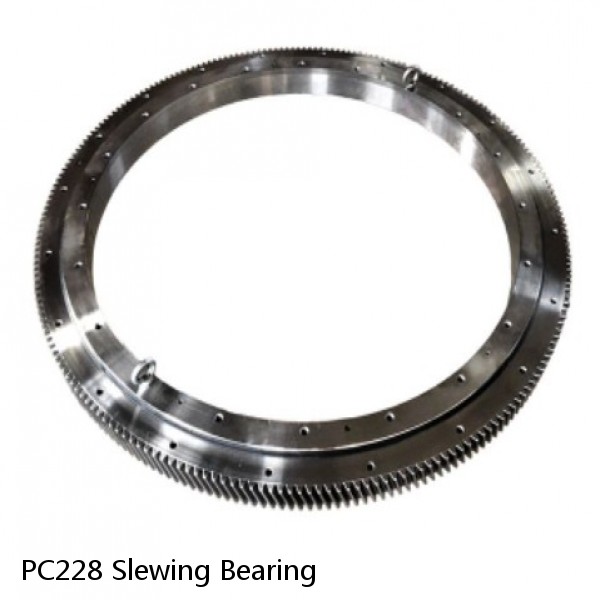 PC228 Slewing Bearing #1 image